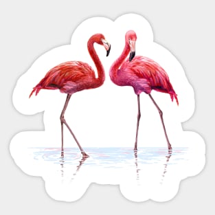 Image: Watercolor, Flamingoes in water Sticker